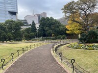🚶🏻【日比谷公園】朝さんぽ と カフェトーク