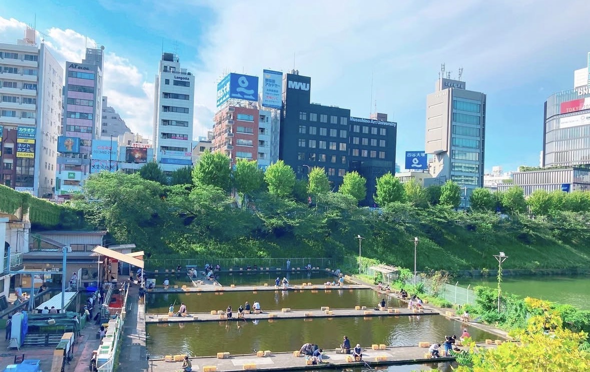 🎣 都心で本格渓流魚！手ぶらで参加できる！！市ヶ谷フィッシュセンターでニジマス＆イワナ釣り✨釣った魚を食べよう🐟🐟
