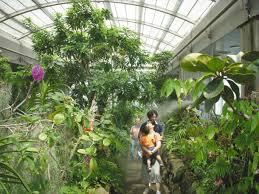 👩女性限定【1万歩】【浮間船渡駅集合】朝活で公園＆熱帯植物館さんぽ！限定3時間スペシャル企画✨