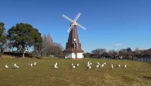 👩女性限定【1万歩】【浮間船渡駅集合】朝活で公園＆熱帯植物館さんぽ！限定3時間スペシャル企画✨