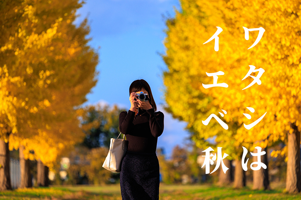 慶應義塾大学銀杏並木撮影会2025