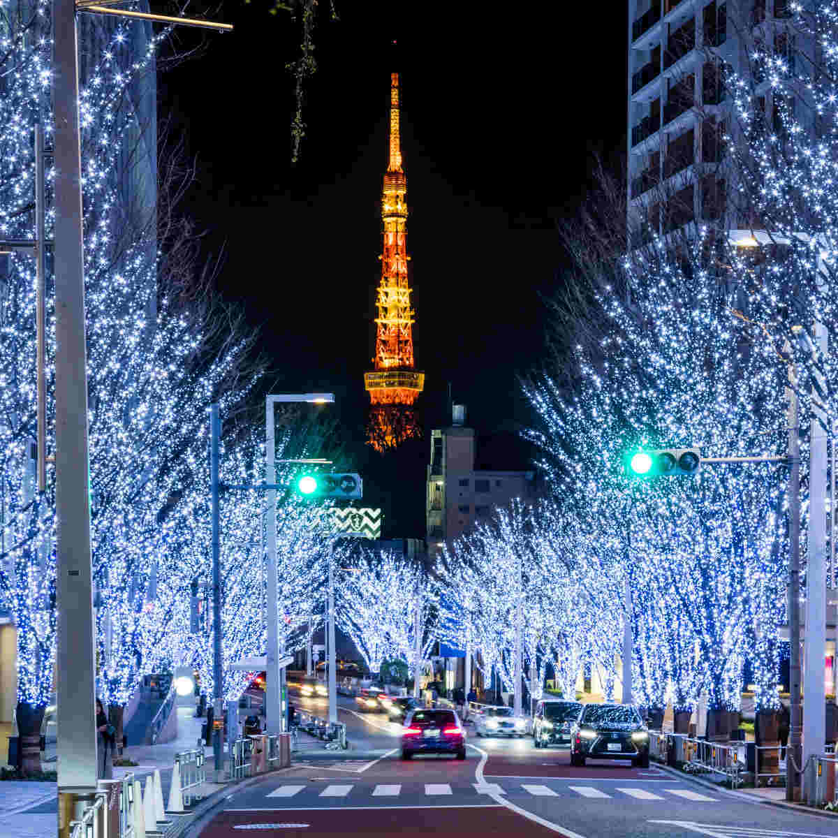 【30代・40代限定】六本木けやき坂イルミネーションへ行こう🚶✨