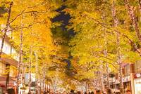 🎄丸の内クリスマスマーケットへ行こう！〜イルミネーション×ホテルグルメ×冬のお散歩会〜
