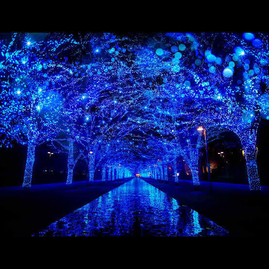 【30代40代限定】冬イルミネーション！渋谷の青の洞窟と恵比寿シャンデリア 12/13（土）