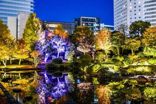 女性限定👩【浅草・隅田川🌉】旧安田庭園ライトアップ＆秋のナイトガーデン90分おしゃべりさんぽ✨