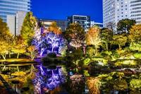 女性限定👩【浅草・隅田川🌉】旧安田庭園ライトアップ＆秋のナイトガーデン90分おしゃべりさんぽ✨