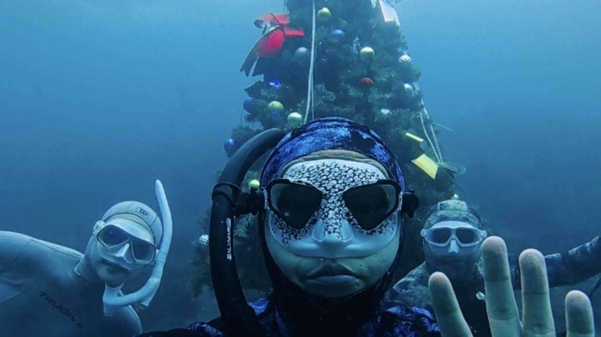 12月6日(土)予備日が7日(日)西伊豆方面　クリスマス🎄スキンダイビング 初めましての方大歓迎!!