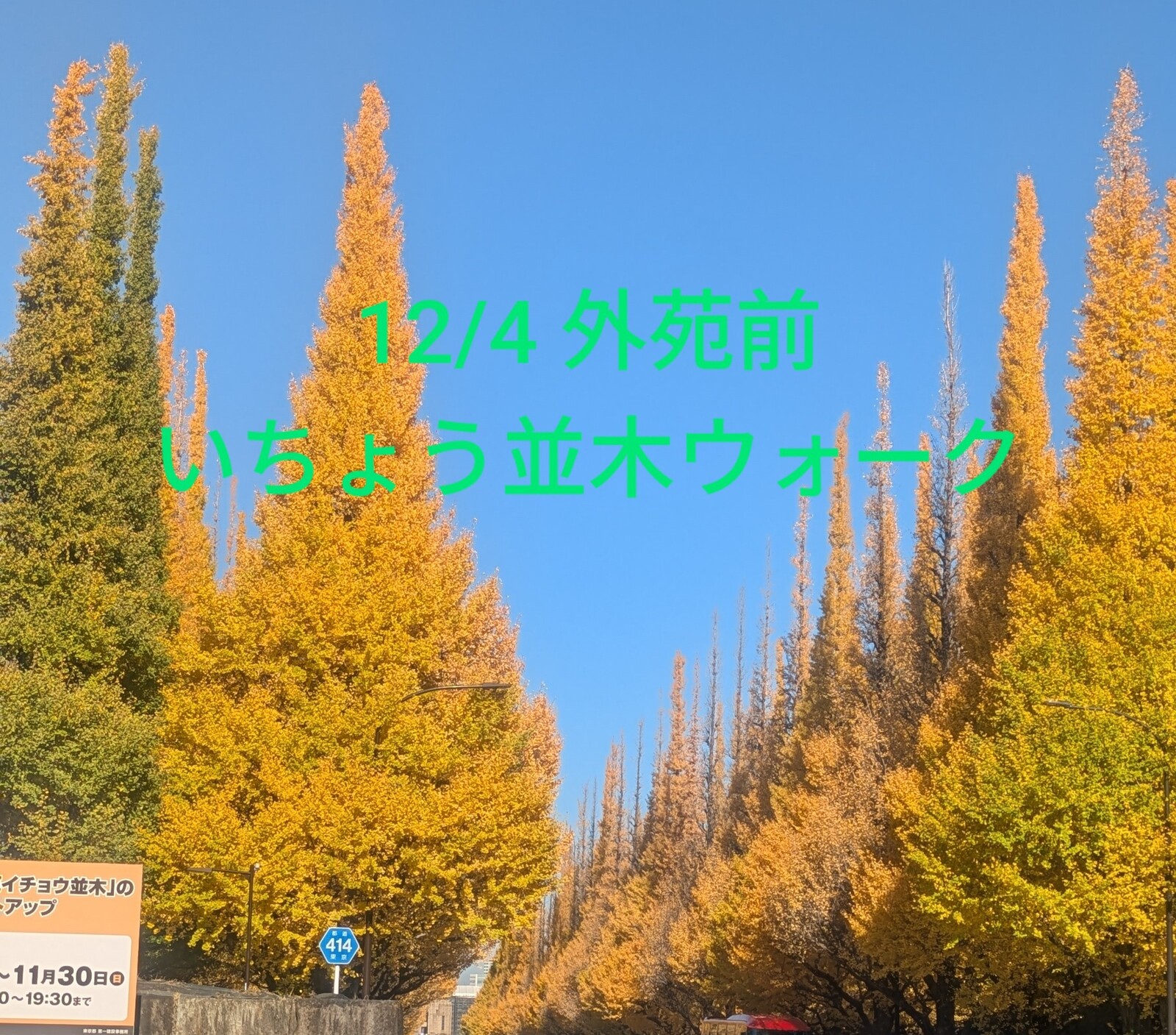 【12/4開催】外苑前いちょう並木通り🍁秋限定！おしゃべり＆絶景ウォーク【初心者・おひとり様歓迎】
