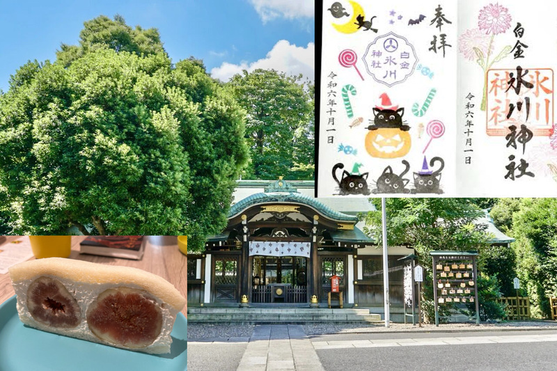 【猫御朱印を頂いて猫たちに会おう！】 12/7 14時　白金氷川神社【過去参加者のみ募集！】