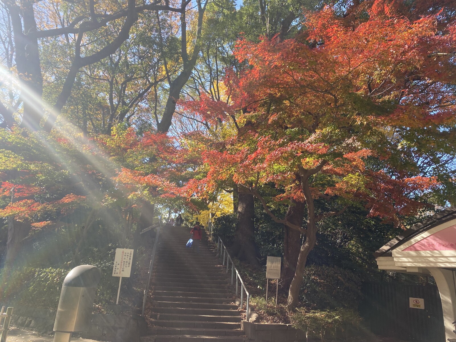 🚶🏻【上野恩賜公園】朝さんぽ と カフェトーク