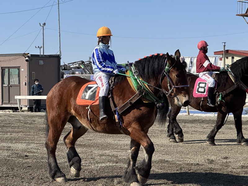 ≪はじめての競馬≫はじめの一歩をお手伝いさせていただきます。