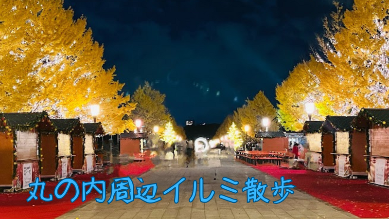 【イルミ散歩】丸の内周辺のイルミネーションを楽しもう🎄