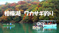 初心者歓迎！釣り道具不要！暖かいドーム船でワカサギ釣り体験をしよう♪