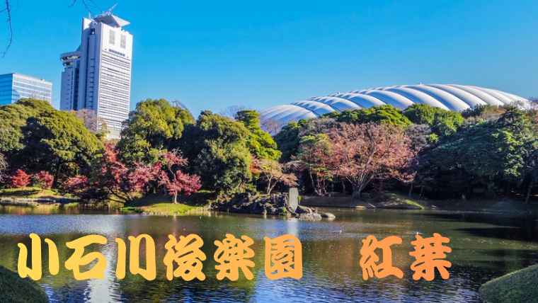 【今年最後のチャンス！？】都内屈指の紅葉名所🍁小石川後楽園の紅葉を観に行こう！🍁🍂