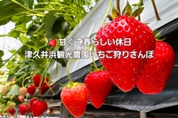 🍓 甘くて春らしい休日｜津久井浜観光農園のいちご狩りさんぽ