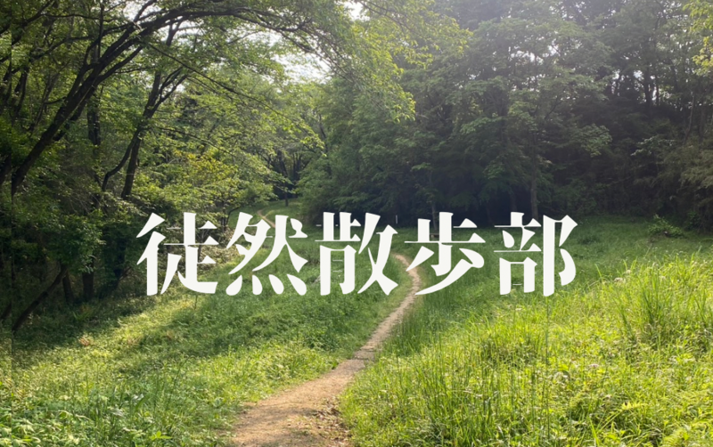 【毎週火曜開催】上野恩賜公園で夜散歩🌳 🌃散歩好き＆おひとり様大歓迎✨