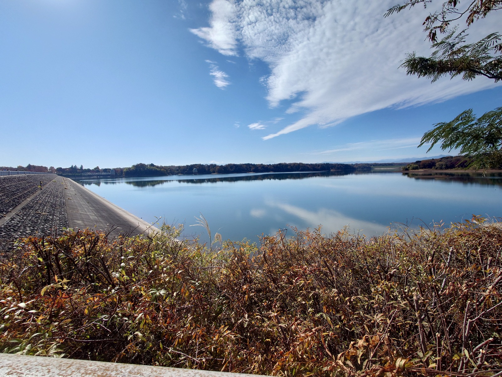 【12/5早朝開催】30代限定！女性主催✨通勤前に皇居で朝活ウォーキング👟ダイエット3.5km🌅