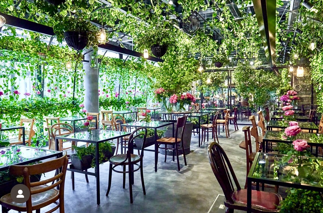 【🌷20代女子会🍰】花と緑のお洒落な表参道カフェにて💐ガールズトーク会🎀