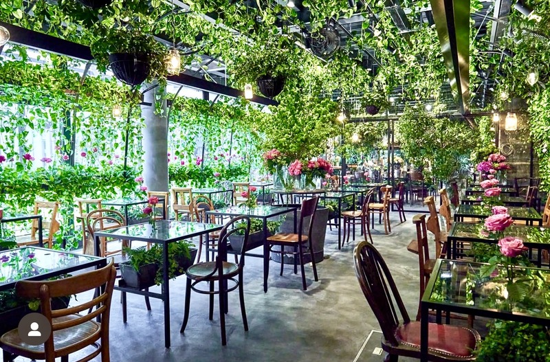 【🌷20代女子会🍰】花と緑のお洒落な表参道カフェにて💐ガールズトーク会🎀