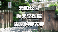 出来たての本郷元町公園、最先端の大学公共エリアと歴史を巡る散策
