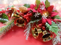 【女性限定！】クリスマス予定無い女子あつまれ〜✨️　イブに楽しくガーリック🎄（20代〜30代対象）