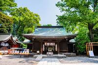 【早割中】川越神社巡り&初詣しよ〜🎀🎀🎀