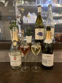 【20代30代限定】ワイン専門店に行こう！おすすめはオレンジナチュールワイン🐽🐽