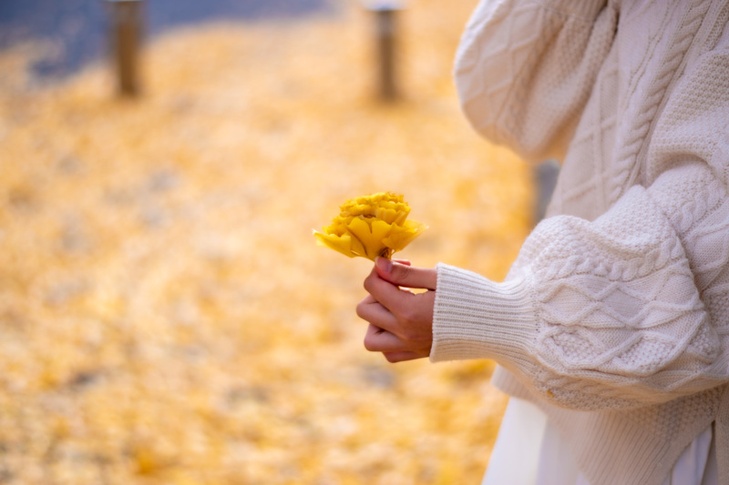 【大阪城紅葉】フォトウォークしてみませんか？🍁📸