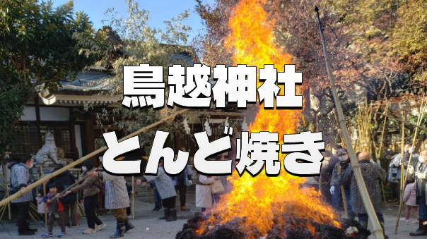 （平日昼）火柱に無病息災を願う 鳥越神社 伝統の「とんど焼き」参観