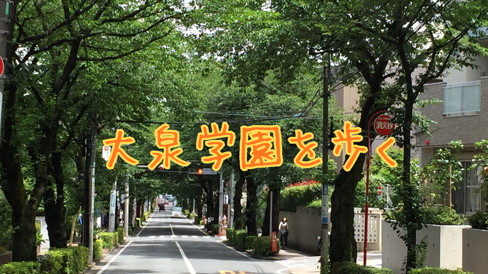 大泉学園を散策してみる🚶‍♀️‍➡️🚶‍➡️
