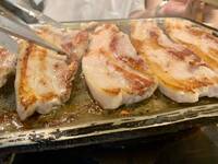 【20代30代限定】韓国料理を食べに行こう！おすすめは至高のジャンボデジカルビ🦊🦊