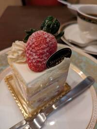 【20代30代限定】穴場なカフェに行こう！ドームショコラです🦊🦊