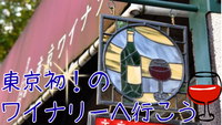 東京で初めてできたワイナリーへ行こう🍷✨
