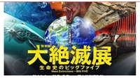 【40〜50代】大人の遠足♪博物館🦖