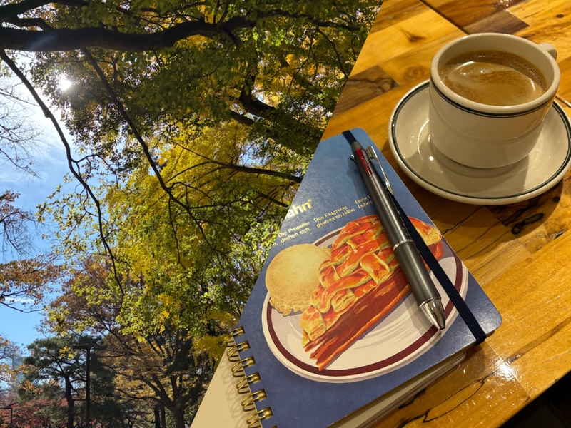 【女性主催】さんぽと2025年を振り返る朝時間＠代々木公園🌿✍️☕️