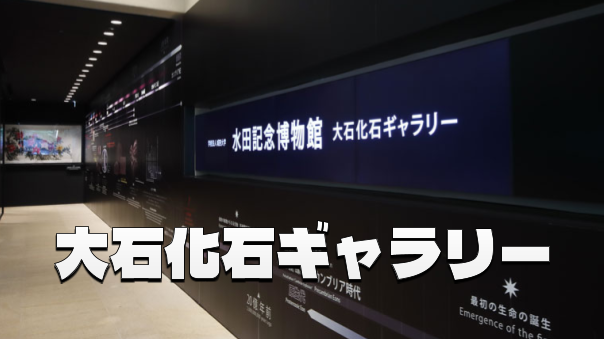 地球四十六億年の歴史を紐解く 城西大学 水田記念博物館 大石化石ギャラリー見学
