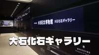 地球四十六億年の歴史を紐解く 城西大学 水田記念博物館 大石化石ギャラリー見学
