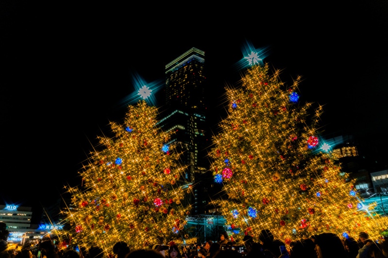 【第6回】12/20開催🎄フォトウォークお写活企画<てんしばクリスマスマーケット>📸