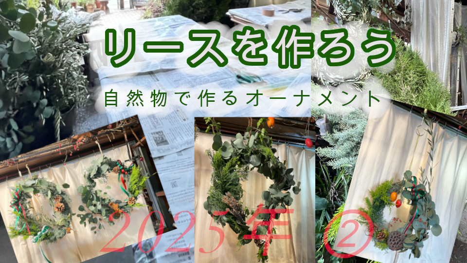 本物の植物で『 リース 』を作ろう　②