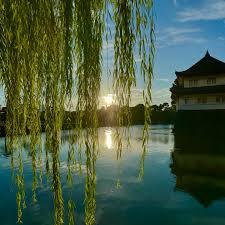  朝の皇居さんぽとカフェでまったり交流