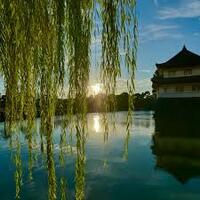  朝の皇居さんぽとカフェでまったり交流