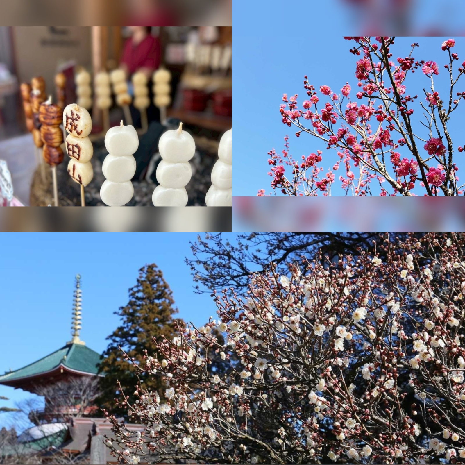 【女性主催】食べ歩きしながら成田の梅まつりと成田山新勝寺にいこう！