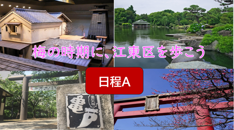 【梅の時期に歴史散策】（日程A）江東区清澄白河＋亀戸を歩こう（説明・解説あり）