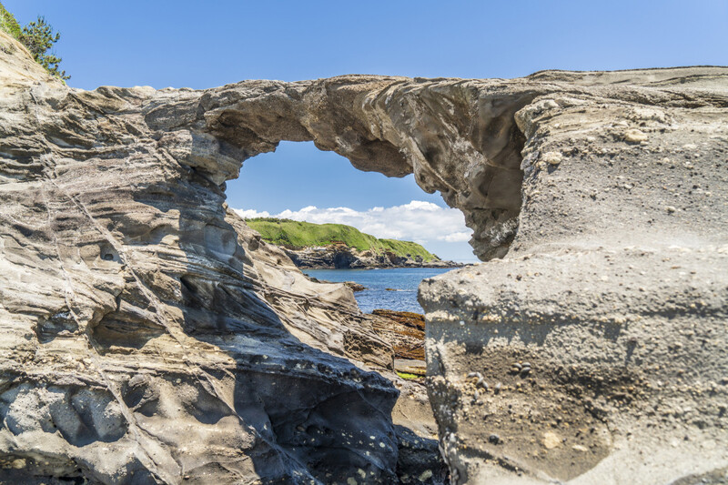 【30代中盤〜40代中心】お得な切符で三浦港海鮮ランチ&船で海中見学&三浦半島散策