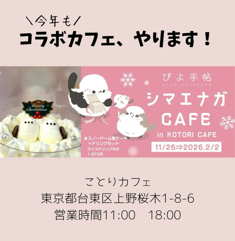 【12/13(土)東京・上野】シマエナガの期間限定コラボ🕊️癒され体験でほっこり時間を満喫しよう☕️