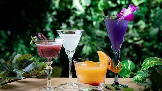 【20代30代限定】ホテルラウンジのようなBARに行こう！おすすめは飲む香水🌺🌺