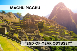 🌄✨ ゆるっと行く《マチュピチュ展》ツアー✨🌄