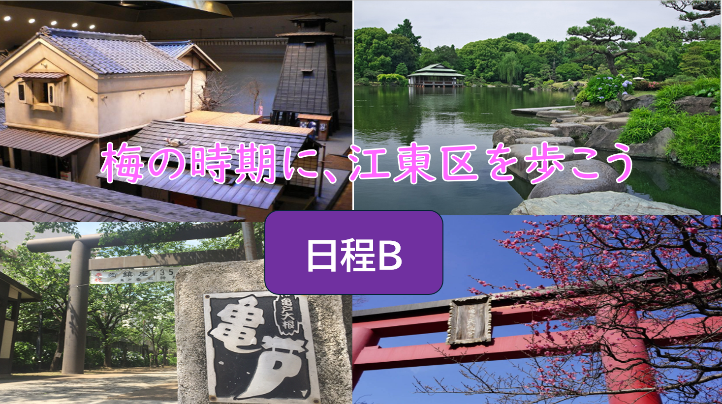 【梅の時期に歴史散策】（日程B）江東区清澄白河＋亀戸を歩こう（説明・解説あり）