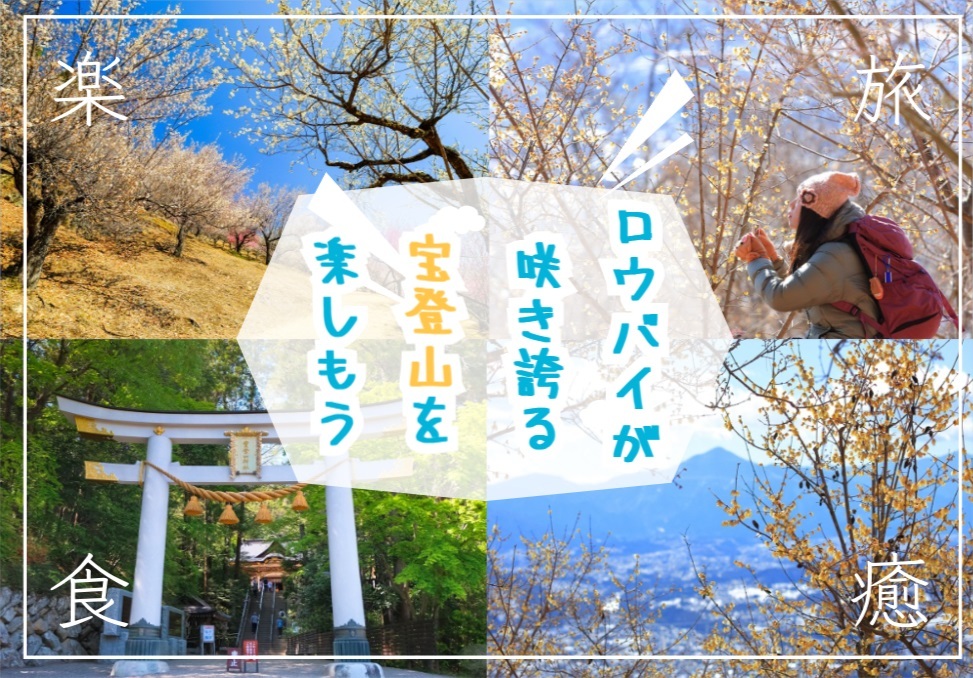 ロウバイや梅が咲き誇る宝登山でハイキングを楽しもう！