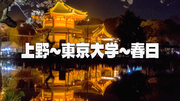 ＜早割無料＞知性の灯りと水の静寂：不忍池から東大本郷キャンパスを巡るナイトウォーク